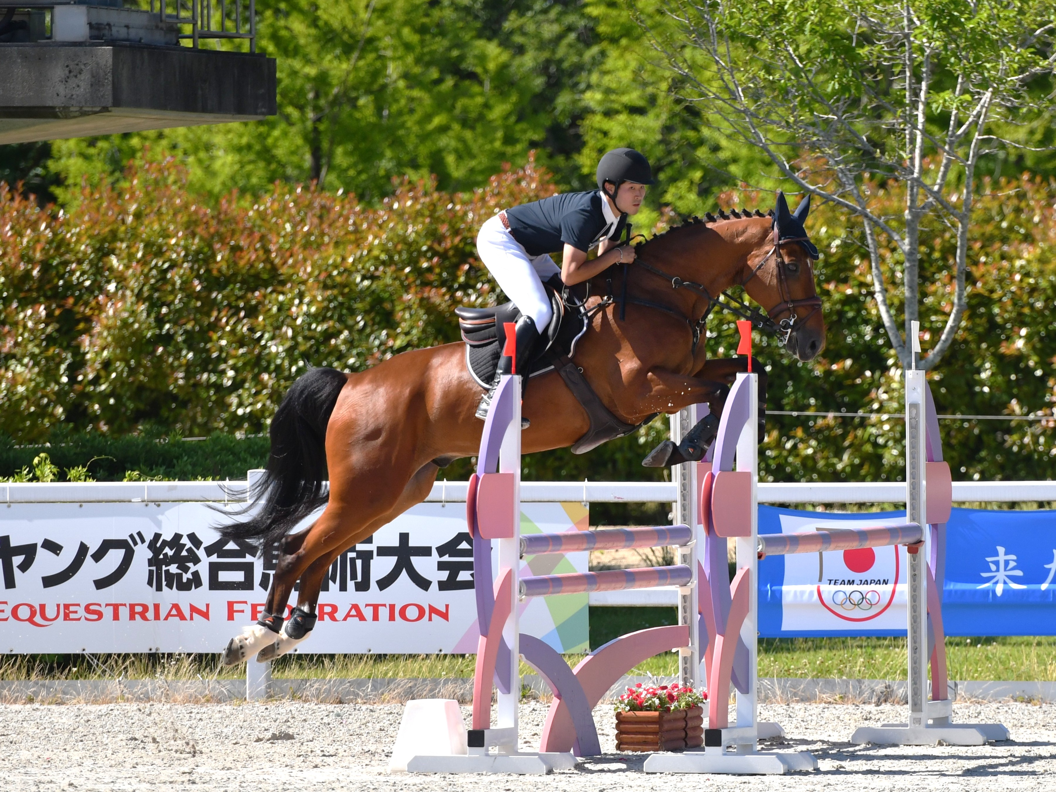 ヤング総合・CCI Miki》レポート 公益社団法人 日本馬術連盟 《Japan